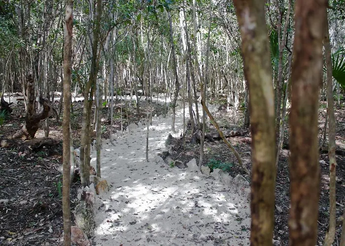Campsite Aldea Maya-ha Con Cenotes