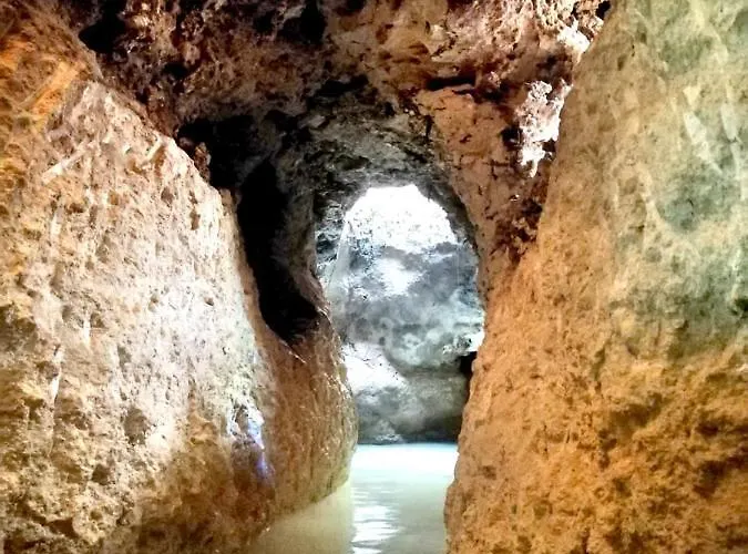 Campsite Aldea Maya-ha Con Cenotes 3*
